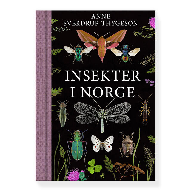 Insekter i Norge Kagge Insekter i Norge 