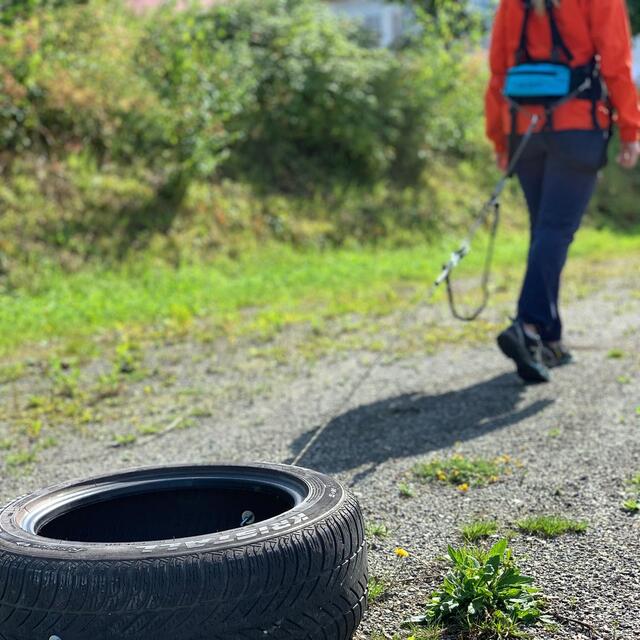 Pulkdrag til dekktrening Fjellpulken Taudrag 