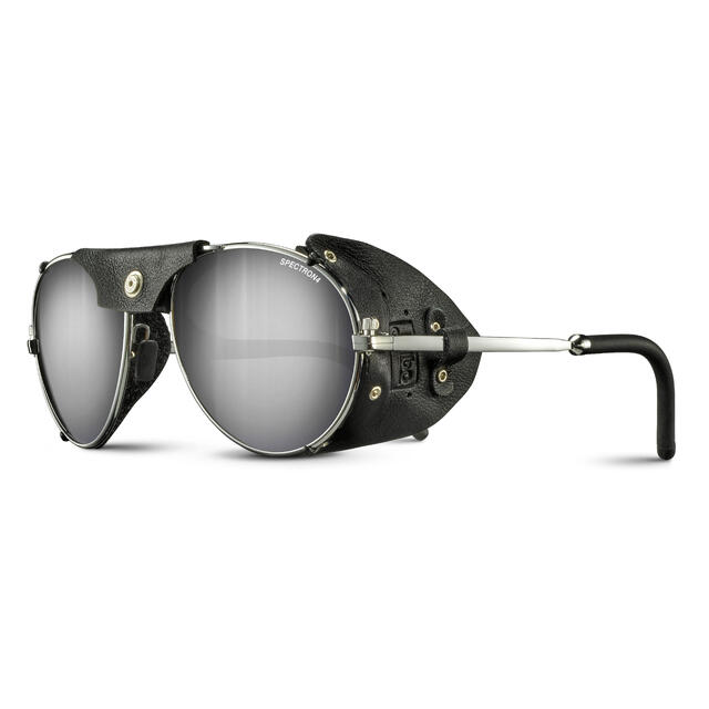 Brille Julbo Cham L Spectron 4 Silver/Black