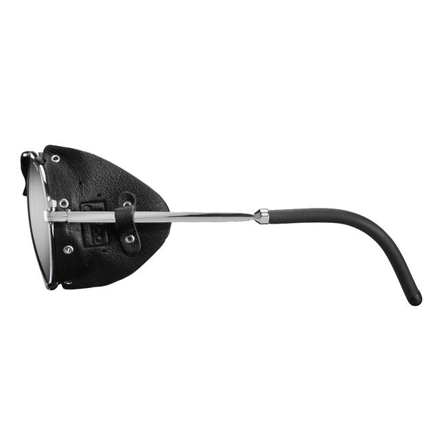 Brille Julbo Cham L Spectron 4 Silver/Black