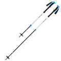 Skistaver Black Diamond Expedition 2 Pro Ski Poles