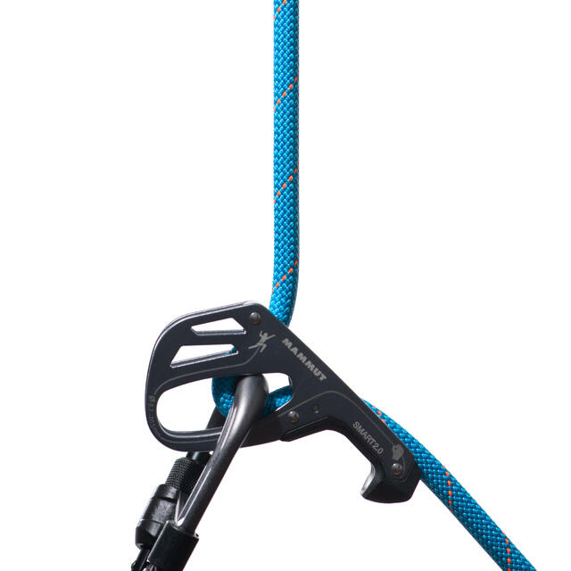 Klatretau 40 m Mammut Gym Workhorse Classic 9,9 40 1128