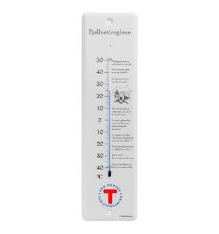 Termometer DNT Veggtermometer