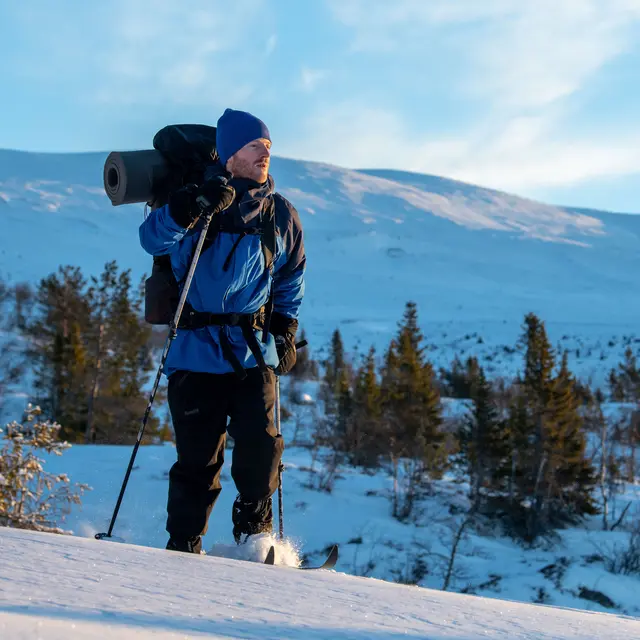 Kort skallbukse til herre Bergans Breheimen 2L Pant Short M 2851 