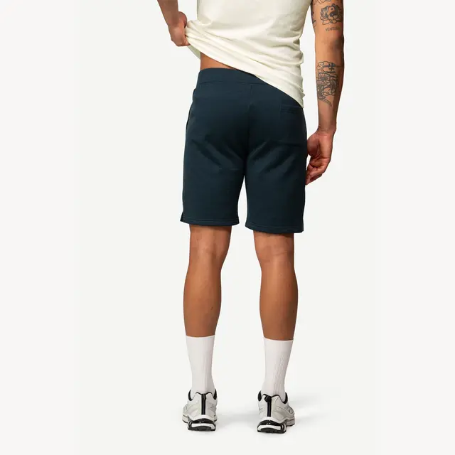 Shorts til herre L Devold Everyday Shorts M L 284 