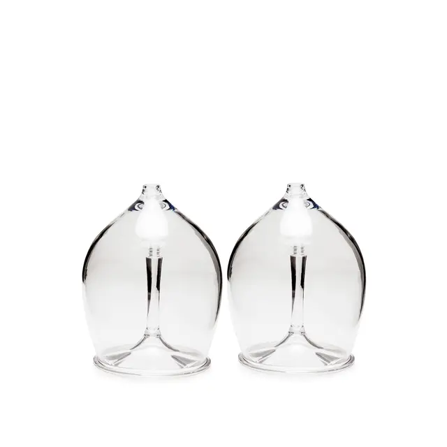 Stettglass 2 pk. GSI Nesting Red Whine Glass 2 pk. 