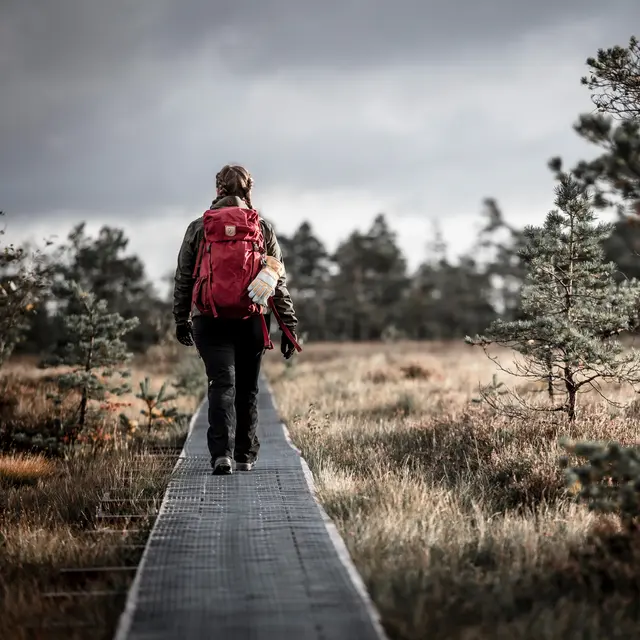 Hansker M Hestra Fält Guide Glove 5F 8 400/020 