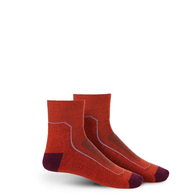 Sokker til dame Icebreaker Hike+ Light Mini W 766 