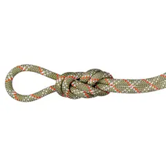 Klatretau 50 m Mammut Gym Classic 9,5 50 01231