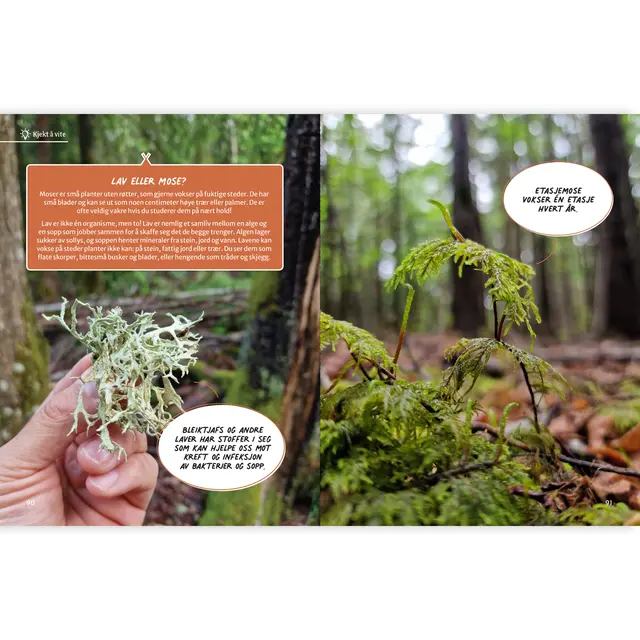 Oppskrift på God tur Pullman Oppskrift på God tur 