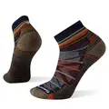 Sokker til herre Smartwool Hike Light Cushion Ankle M 092